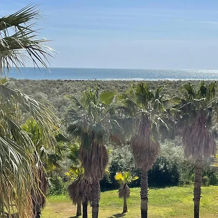 Segunda Planta Vista Jardin Y Marismas En Jardines De Isla Canela Zewnętrze zdjęcie