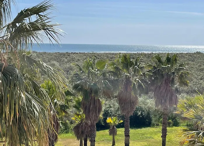 Segunda Planta Vista Jardin Y Marismas En Jardines De Isla Canela