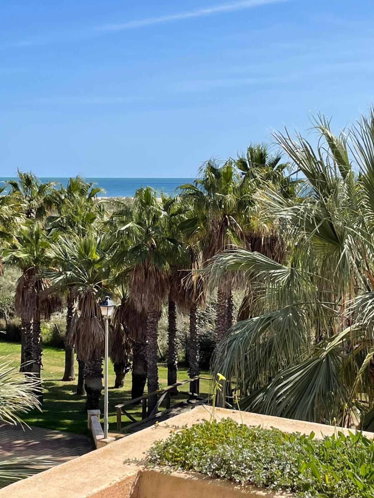 Segunda Planta Vista Jardin Y Marismas En Jardines De * Isla Canela